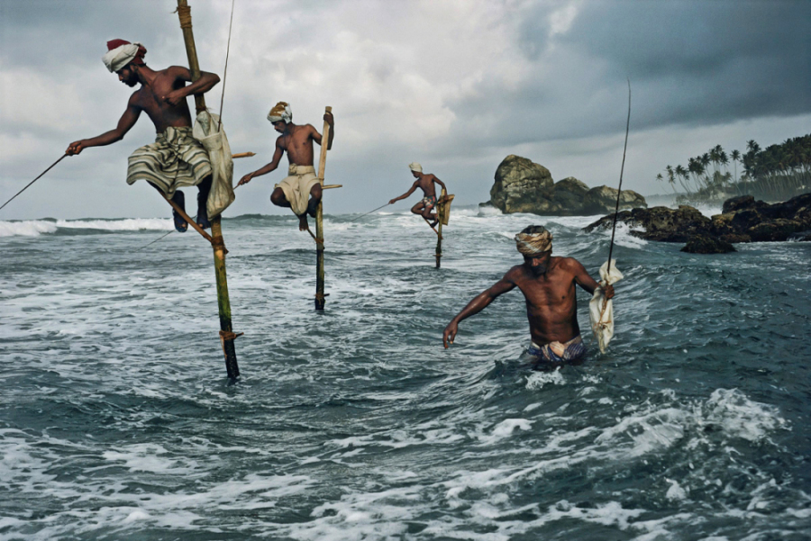 stevemccurry