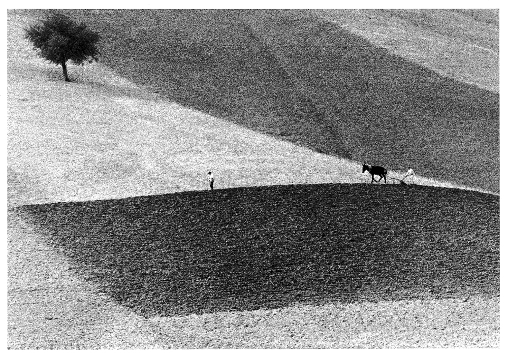 Gianni-Berengo-Gardin-Toscana-1958